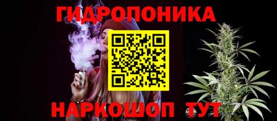 скорость Будённовск