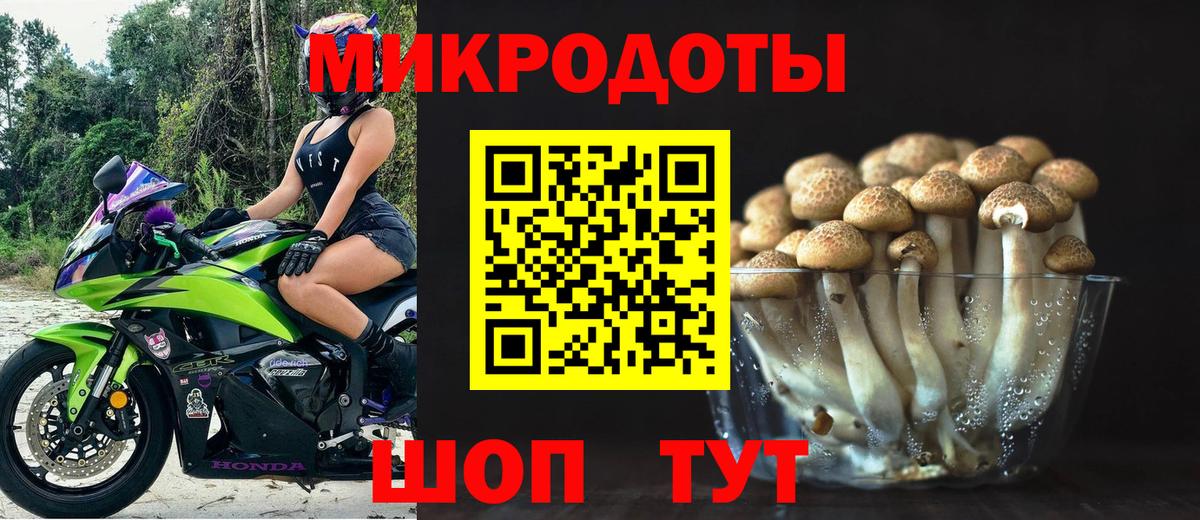Псилоцибиновые грибы Psilocybine cubensis  закладки  Самара  Вход с VPN 